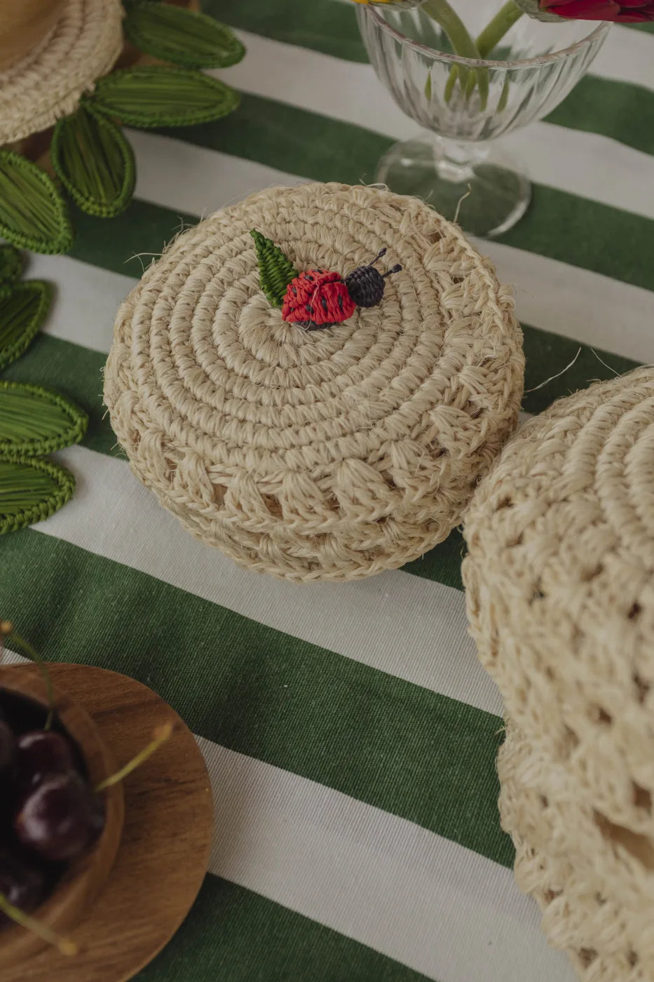 Contenedor Ladybug Mini