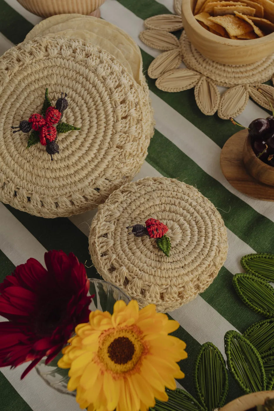Contenedor Ladybug Mediano